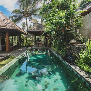 Luwak Estate